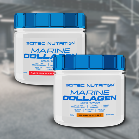 Scitec Nutrition Marine Collagen 252g | Glutenfrei | Laktosefrei | Zuckerfrei